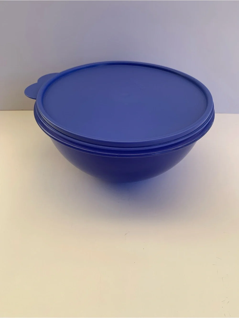 Navy  Plastic Storage Bowl with Lid  2L 8 3/4 Cups